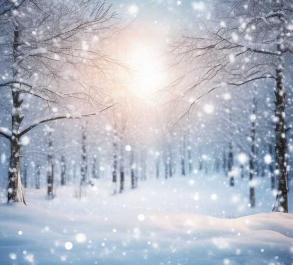 冬日雪景，银装素裹的诗意画卷