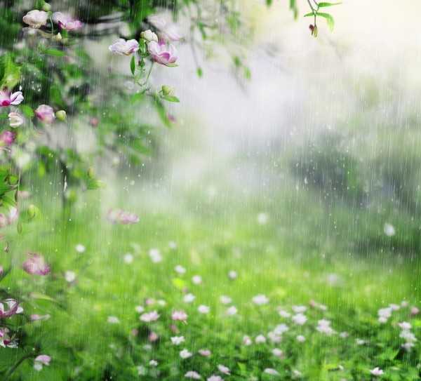春雨润无声，诗意盎然颂春光