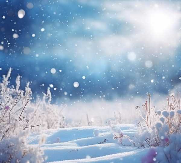 雪中诗意，毛笔下的冰雪世界