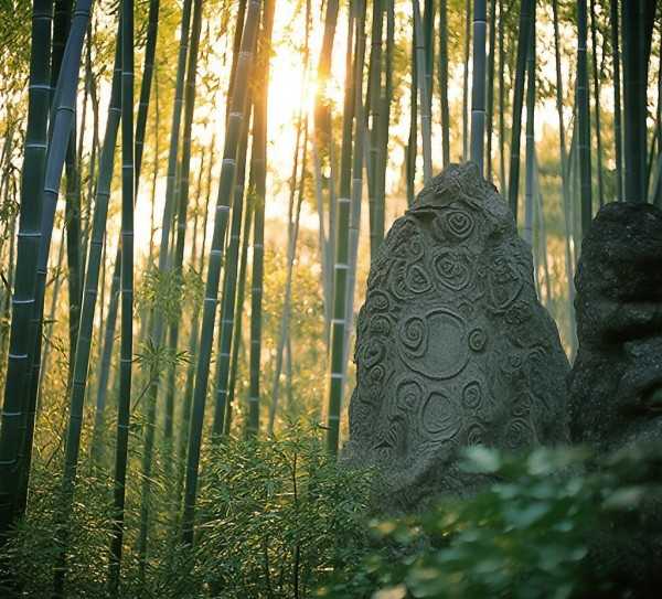 竹石传奇，传承千年坚韧与和谐之美
