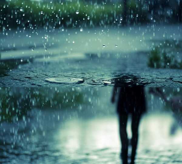 雨滴轻吟，细雨中的生活碎片,雨的细语，关于下雨的句子，描绘生活的点点滴滴,友谊,画卷,岁月,第1张